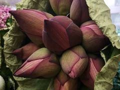 -亭亭鲜花店(中山北路店)