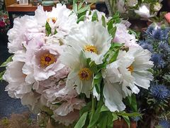 -双季花艺园艺市场(浦东店)