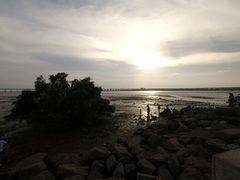 -宝安西湾红树林湿地公园