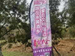 -江苏三台山国家森林公园