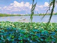 -济南大明湖景区