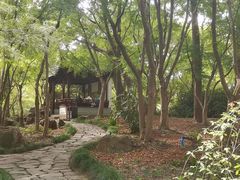 -秋霞圃