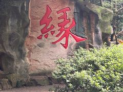 -杭州黄龙洞