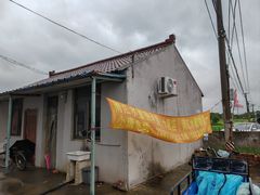 -南汇水蜜桃采摘(大团店)