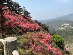 -木兰云雾山