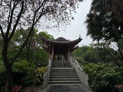 -柳侯公园