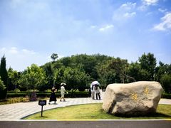 -洛阳古墓博物馆