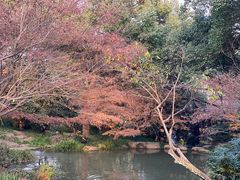 -中国茶叶博物馆(双峰馆区)
