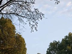 -西郊宾馆·1921餐厅