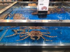 -盒马X会员店(王府井奥莱UP TOWN店)