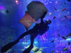 -沈阳海洋探索中心