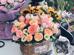 -双季花艺园艺市场(浦东店)