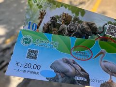 -昆明动物园
