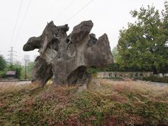 -重庆彩云湖湿地公园