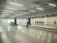 -舞蕾舞蹈(特长生校区)