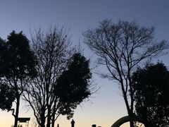 景观位-怡得观滇餐厅·地道昆明菜·1996(海埂大坝店)