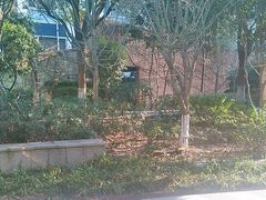 -Wagas沃歌斯(大学路店)