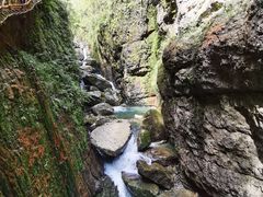 -鹿院坪生态旅游景区