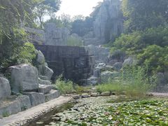 -白洋淀风景区