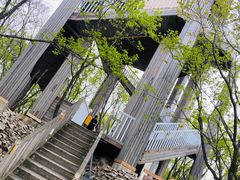 -帽儿山国家森林公园