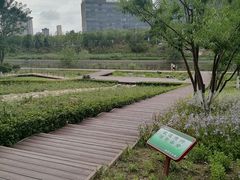 -西海子公园