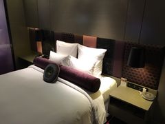 -南京禄口机场雅高铂尔曼大酒店