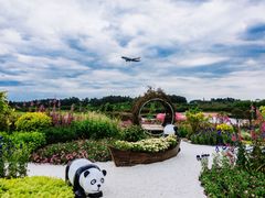 -空港花田景区