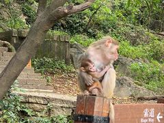 -黔灵山公园-南门售票处