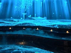 -唐宫足道·SPA·住宿24H会所(木渎店)