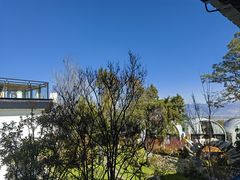 -云禾壹海景庄园餐厅