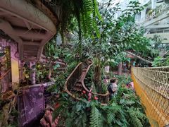 -正佳雨林生态植物园