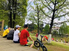 -铁山坪森林公园