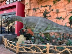 -宝燕乐园(闵行旗舰店)