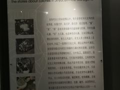 -四川宋瓷博物馆