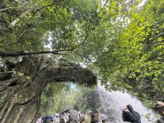 -小七孔景区-六十八级跌水瀑布