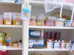 -米苏动物医院·犬猫专科·骨科外科内窥镜