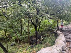 -阳台山自然风景区
