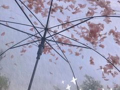 -青岛金沙滩