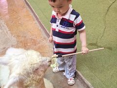 -正佳雨林生态植物园
