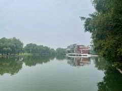 -银树楼(紫玉山庄东区店)