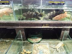 -旺角餐厅(潮州大道店)