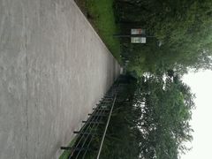 android_upload_pic-西湖风景区-江洋畈生态公园