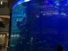 -佛山希尔顿酒店·融誉亚洲美食荟