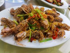 避风塘濑尿虾-旺富东海大酒楼(海鲜街店)