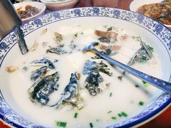 -全乐鱼馆·淳牌有机鱼直营店