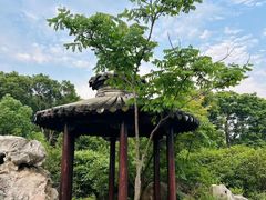 -八大山人梅湖景区