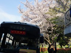 -上海南浦大桥长途旅游客运站