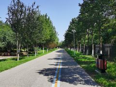 -永定河休闲森林公园