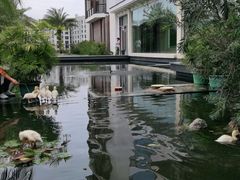 -厦门悦华酒店·绿庭主题自助餐厅