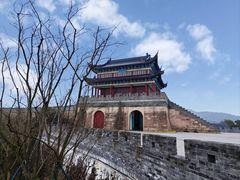 -黄贤森林公园